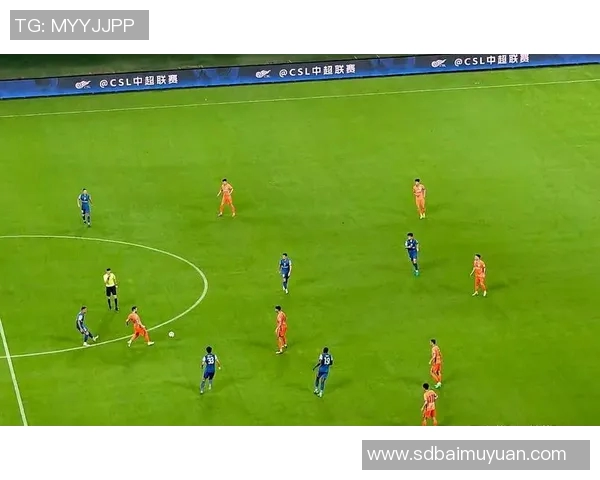 2019赛季中超第四轮申花对阵人和精彩比赛录像回顾与分析 2019赛季中超第四轮申花对阵人和精彩比赛录像回顾与分析