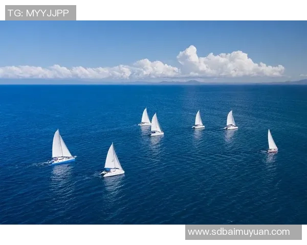 深圳极限运动队的控制得失分析与未来发展展望